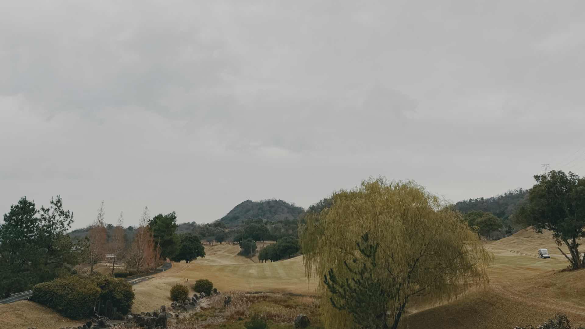 Being Lazy on Purpose